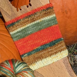 Alternative view of In Stock: Pumpkin Pi(e) Self-Striping