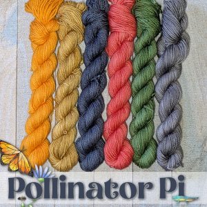 --Dye-to-Order: Pollinator Pi - Self-Striping, Mini Sets, Fiber - Image 2