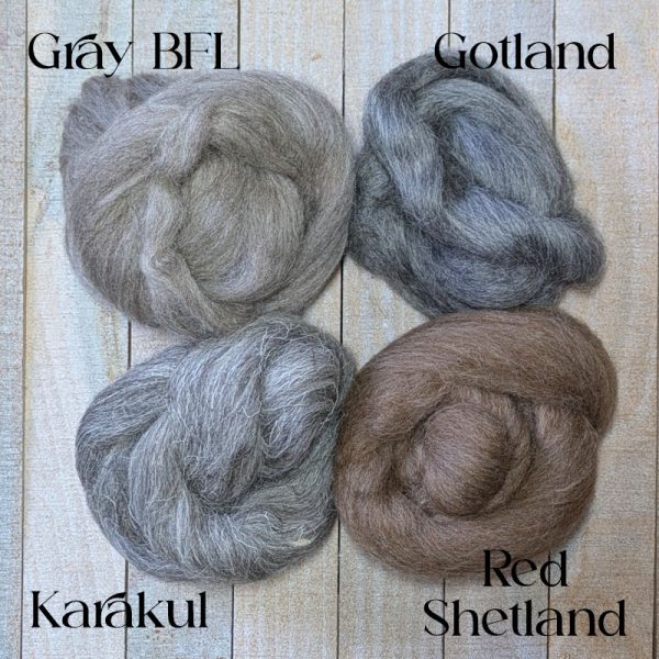 In Stock: Natural Colored Fiber Sampler - Four Breeds - Image 2
