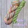 *NEW!* In Stock: Winter Wellness Pi! - Self-Striping, Fiber