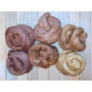 In Stock: Aspen Stand Serendipity Spinning Set -- Mixed BFL/Silk, 6 oz.