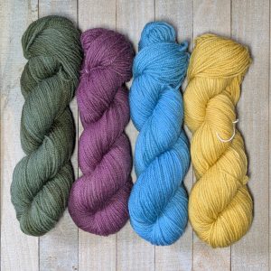 In Stock: Dyer's Secret Stash - 4 Skeins Ridgetop DK, Multi-Color Combos