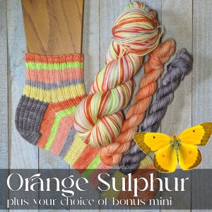 *NEW!* Pre-Order: Orange Sulphur Self-Striping