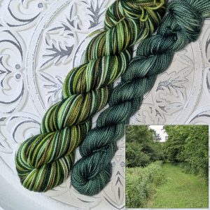 In Stock: Summer-Inspired Serendipity Stripes -- All of the Greens Shortie Sock Sets